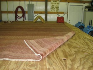 rug cleaning