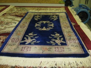 rug cleaning